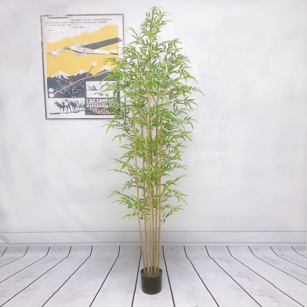 Бамбук 180 см